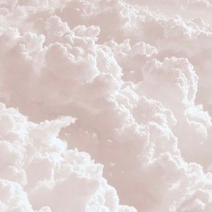 Meet your Posher, Mia